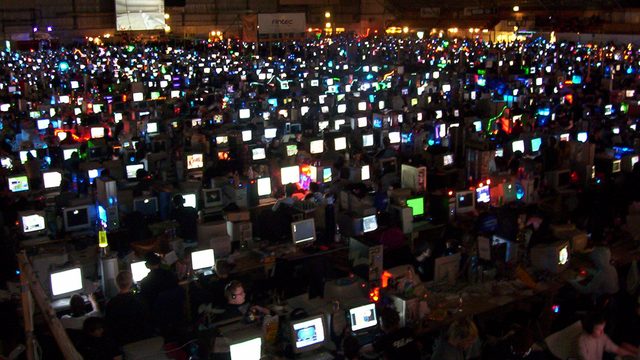 平台年度报告：用户规模与活跃度双增长